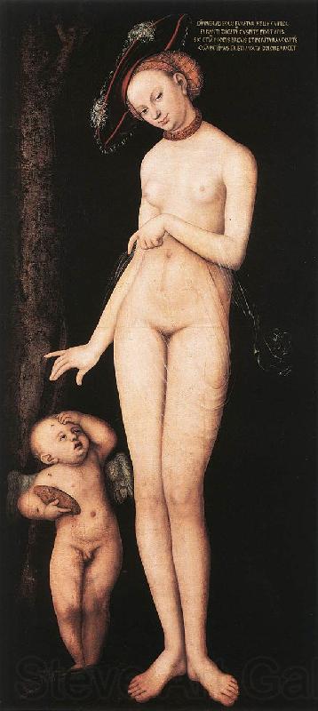 CRANACH, Lucas the Elder Venus and Cupid dsf